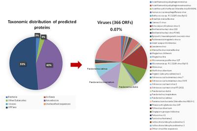 A Phylogenomic Study of Acanthamoeba polyphaga Draft Genome Sequences Suggests Genetic Exchanges With Giant Viruses